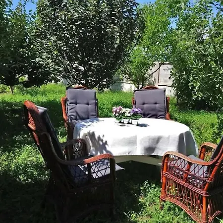Family Friendly With A Swimming Pool Apartment Privlaka (Zadar)